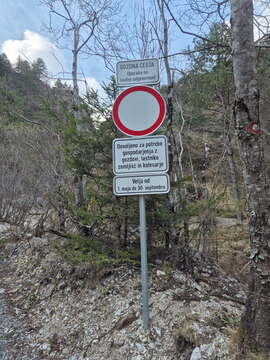 Gozdna cesta Polška planina (foto: Zavod za gozdove RS, Krajevna organizacija Radovljica)