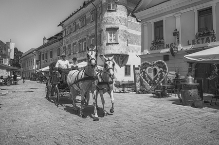 Žarko Petrovič Starodobna kočija (14. 6. 25)